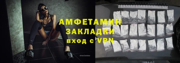 шишки Абаза