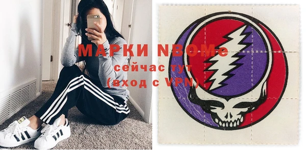 прущий лед Алзамай