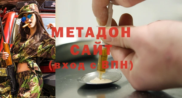 шишки Абаза