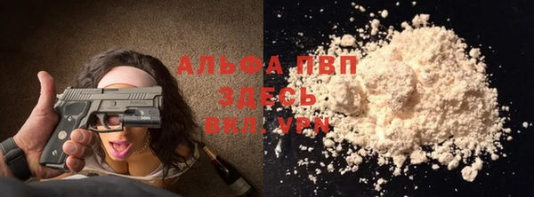прущий лед Алзамай