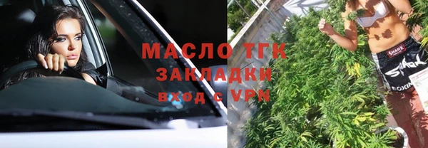 прущий лед Алзамай